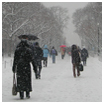 snow storm in  new york